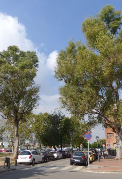 passeig-pollancreda-1024x768