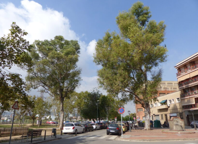 passeig-pollancreda-1024x768